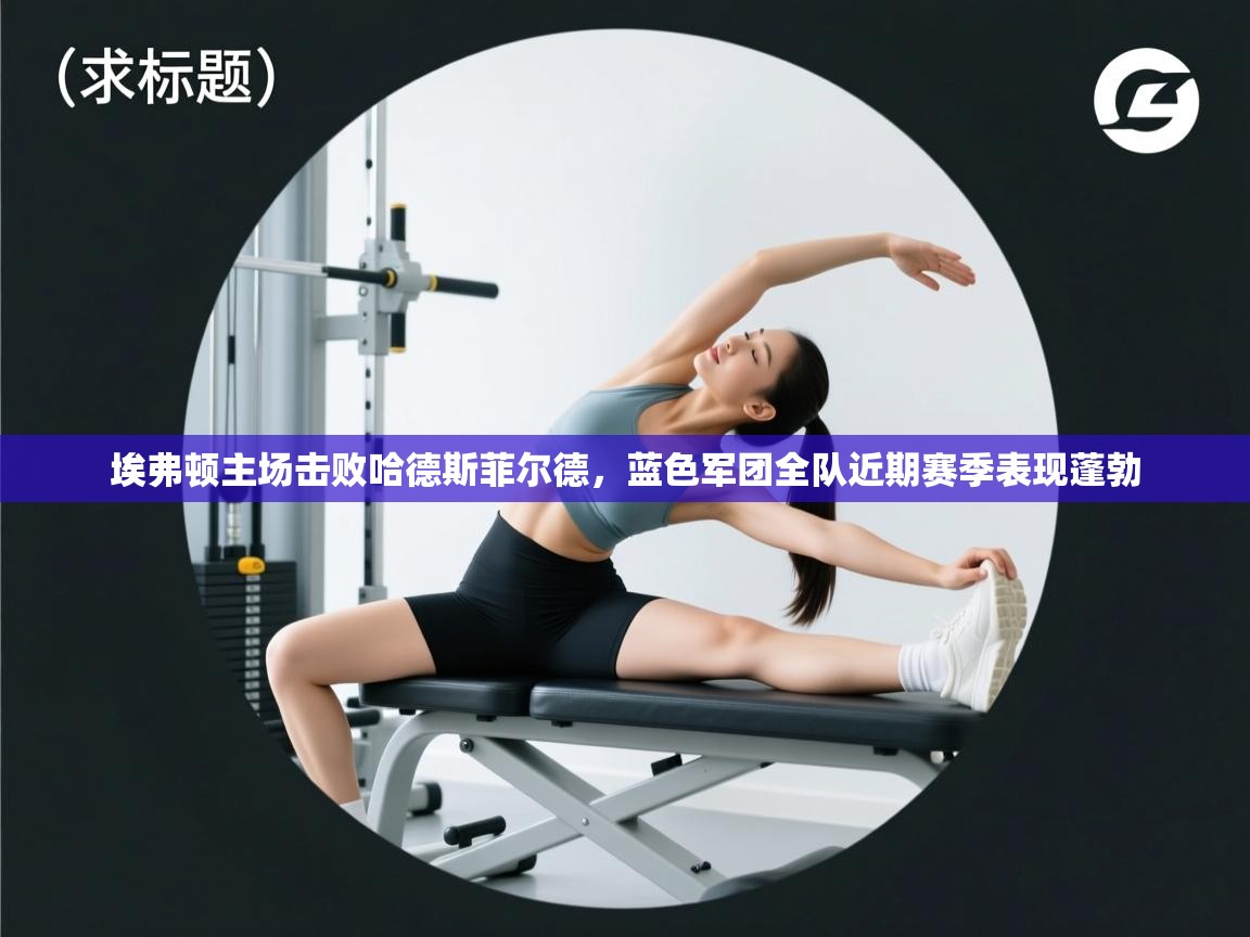 埃弗顿主场击败哈德斯菲尔德，蓝色军团全队近期赛季表现蓬勃  第1张