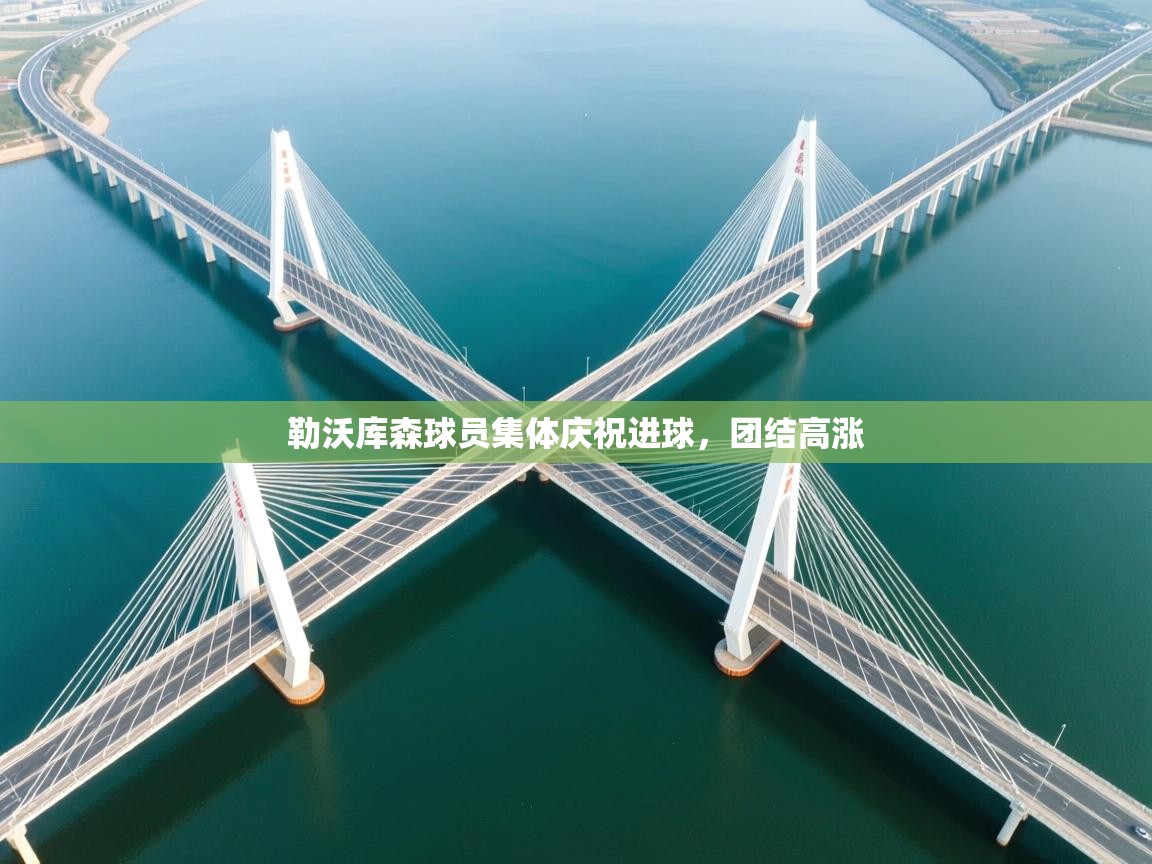 勒沃库森球员集体庆祝进球,团结高涨 第1张